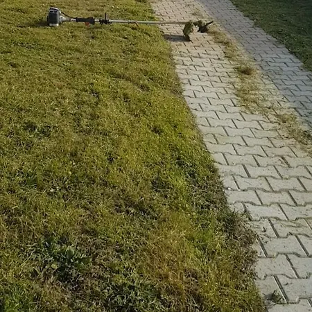 Evasion & Nature * Ravenel