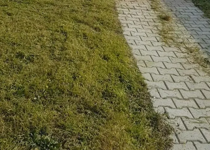 Evasion & Nature * Ravenel